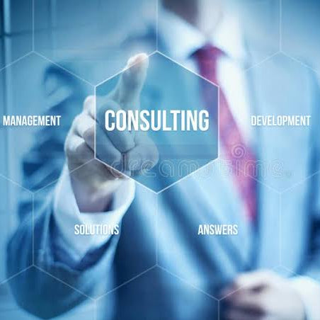 Business Consulting Session